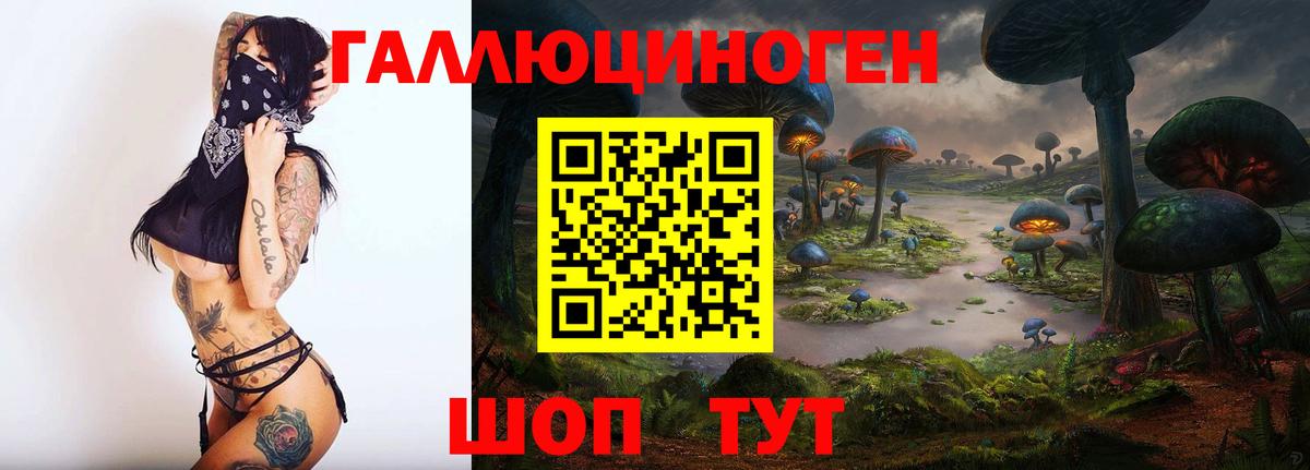 Галлюциногенные грибы GOLDEN TEACHER  Вход с VPN  Псилоцибиновые грибы Magic Shrooms  где найти наркотики  Заринск 